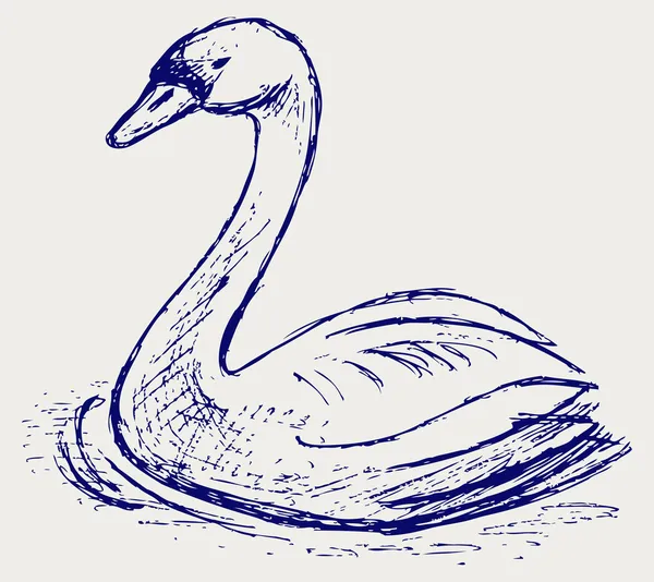 Swan sketch — Stock Photo, Image