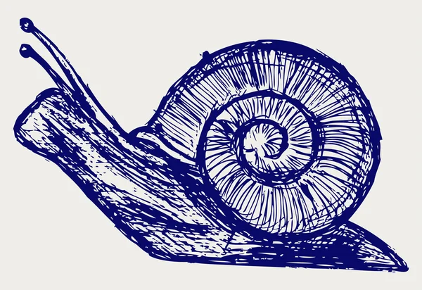 Σαλιγκάρι σκίτσο — Φωτογραφία Αρχείου