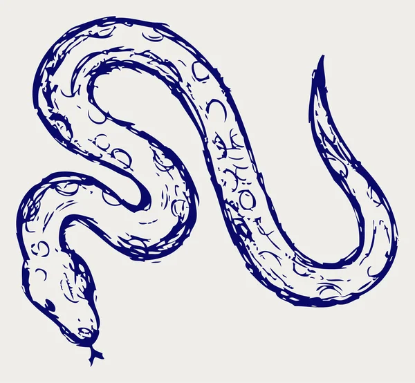 Sketsa ular — Stok Foto