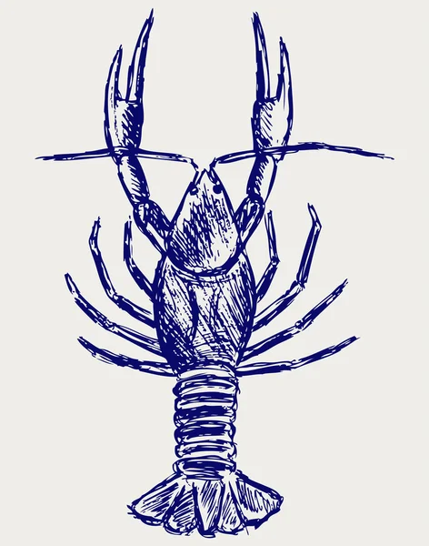 Crayfish sketch — Stock Photo, Image