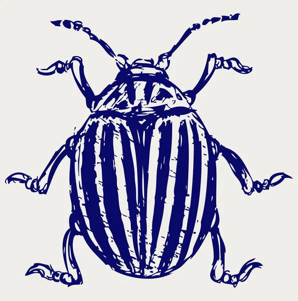 Uğur böceği kroki — Stok fotoğraf