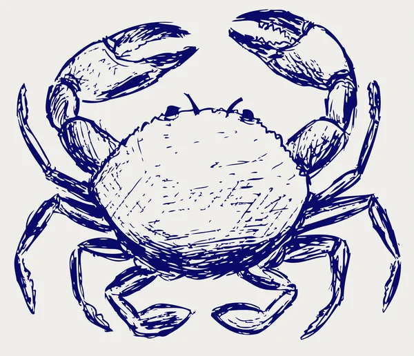 Crab sketch — Stock Photo, Image