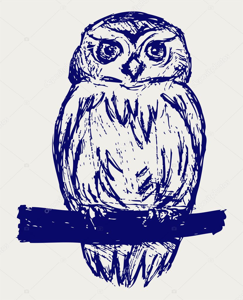 Great Owl Sketch