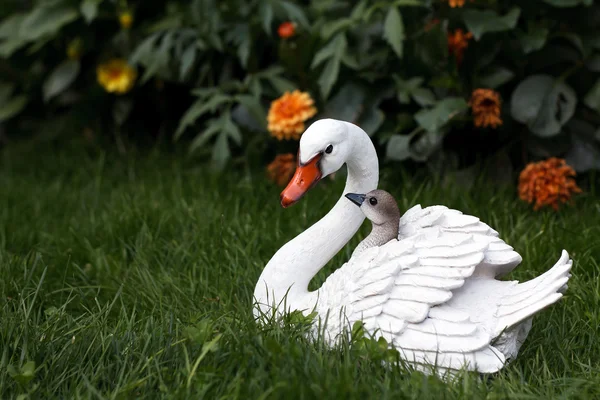 Cisne de mãe com cygnets — Fotografia de Stock