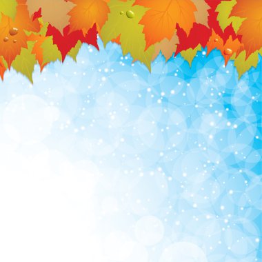 Autumn leaves background clipart