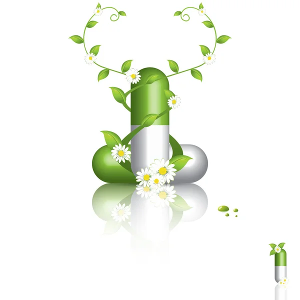 stock vector Herbal pill