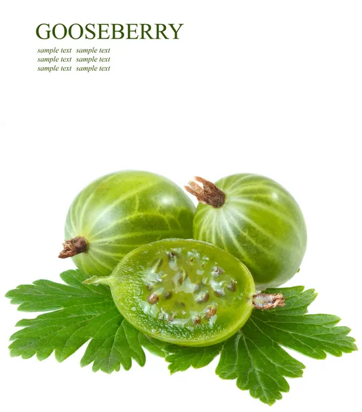 stock image Fresh gooseberries on a white background (with sample text)