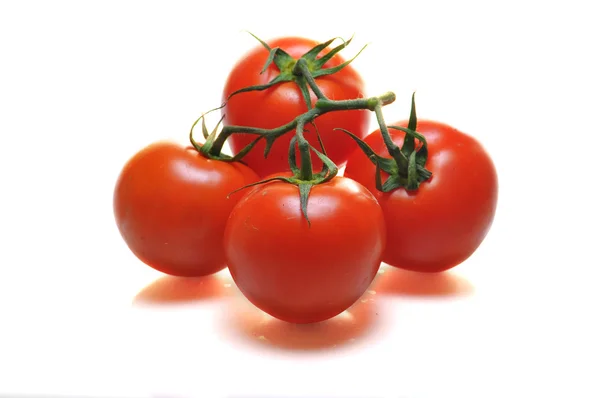 Quattro pomodori. — Foto Stock