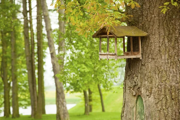 Zielony park z karmienia stojak na drzewie — Zdjęcie stockowe
