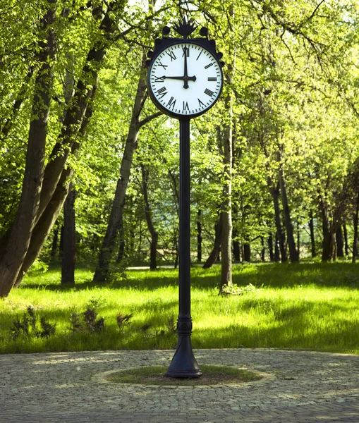 时钟在公园 — 图库照片