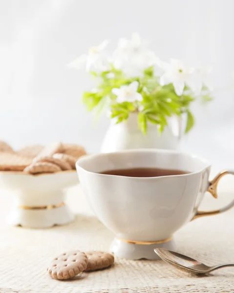 Xícara de chá com biscoitos — Fotografia de Stock