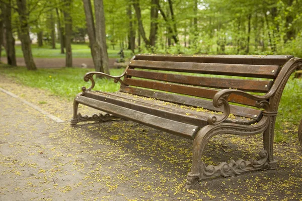 stock image Bench in the park