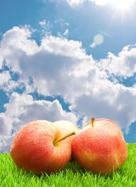Rode appels op gras — Stockfoto
