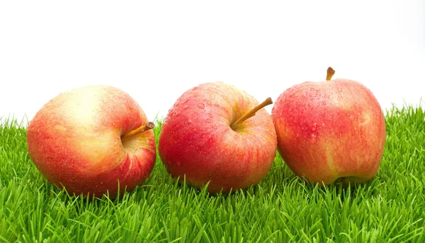 Rode appels op gras — Stockfoto