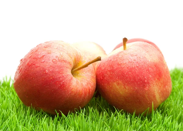 Röda äpplen på gräs — Stockfoto