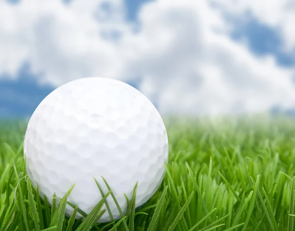 Pelota de golf Fotos de stock libres de derechos