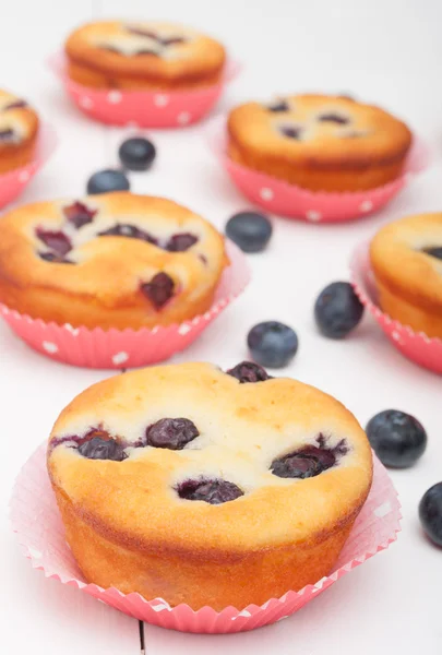 Blueberry Muffins — Stock Photo, Image