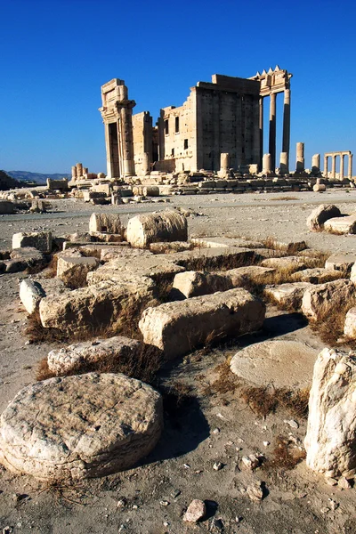 Ostatky Palmýry v Sýrii — Stock fotografie