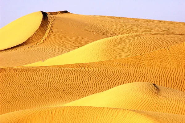 黄金の砂漠の風景 — ストック写真