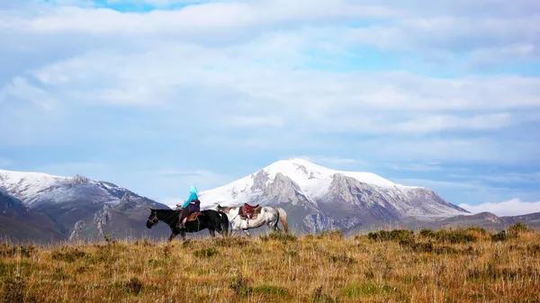 At sırtında bir binici ile karla kaplı dağlar — Stok fotoğraf