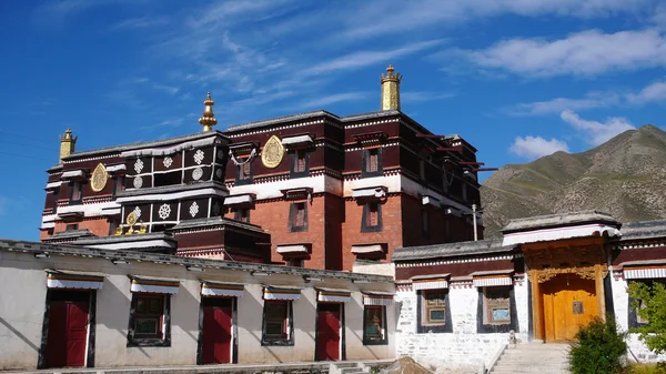 Lamasaria tibetana — Fotografia de Stock