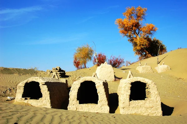 在沙漠中的墓葬 — 图库照片