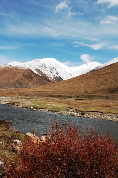Krajina v highland Tibetu — Stock fotografie