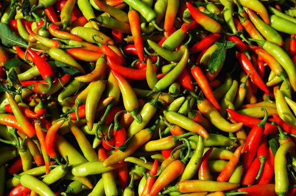 Pilha de pimenta fresca — Fotografia de Stock