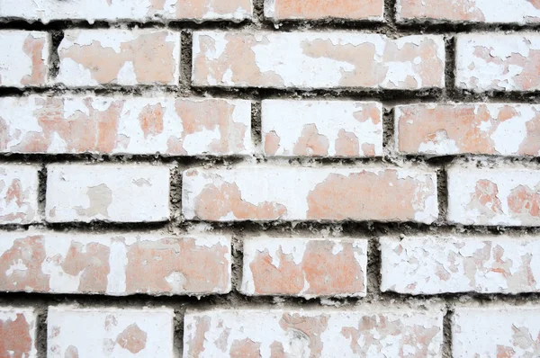 Vieux mur de briques grogné — Photo