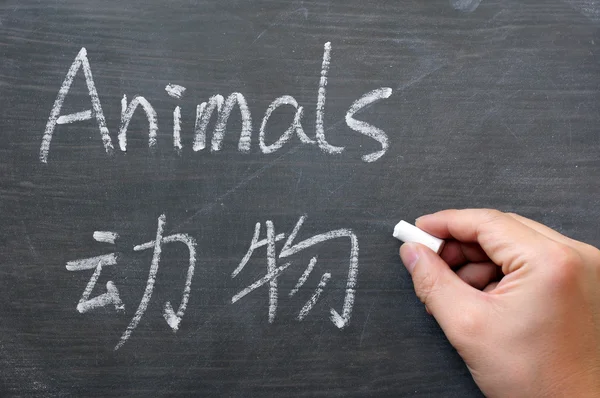 Zvířata - slovo napsané na tabuli rozmazaný — Stock fotografie