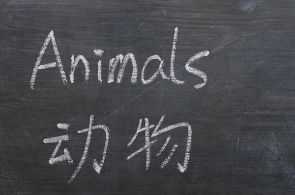 Zvířata - slovo napsané na tabuli rozmazaný — Stock fotografie