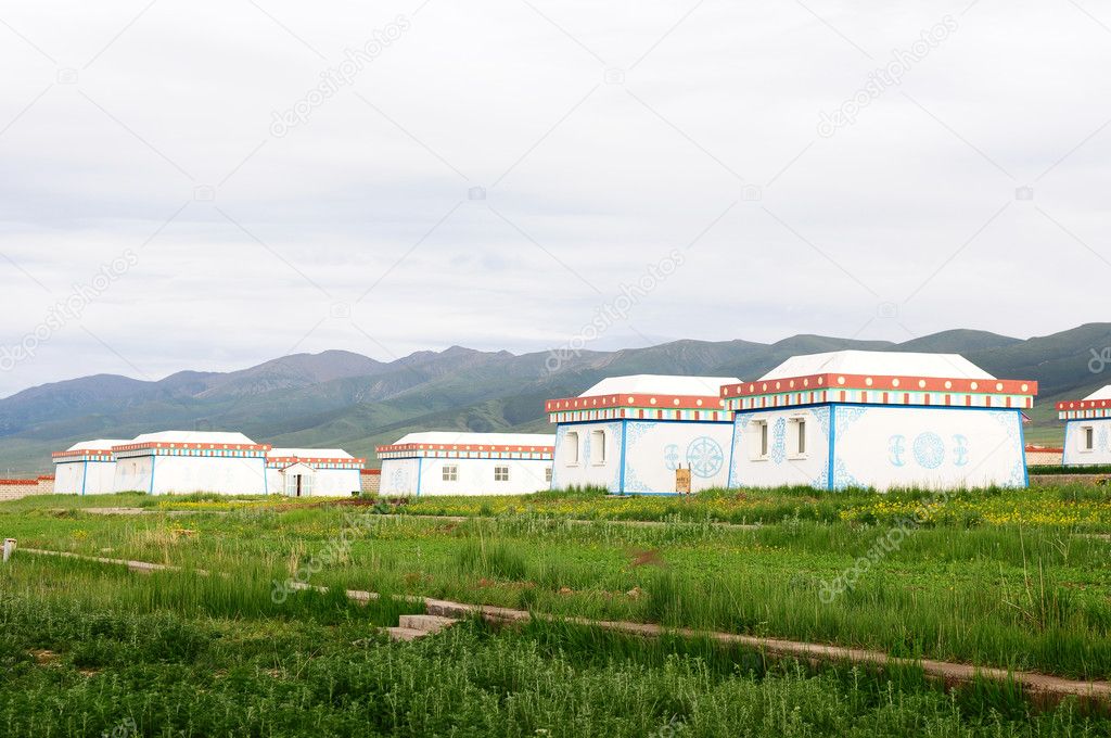 Mongolian tent on grassland