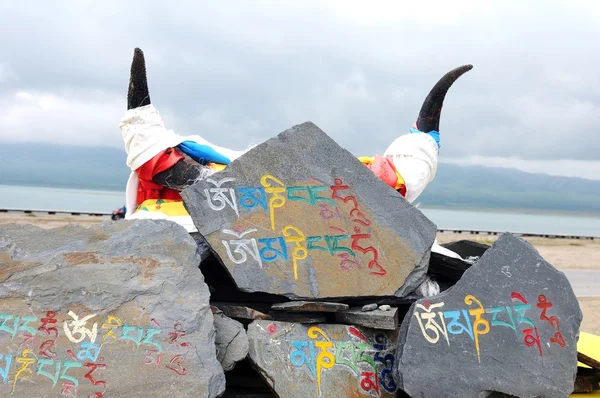 藏族的祷告 mani 岩石和牦牛角 — 图库照片