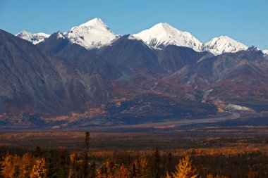 Kluane Milli Parkı 1