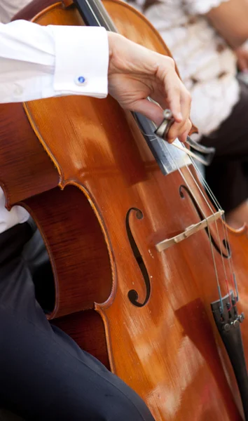 stock image Young viola player