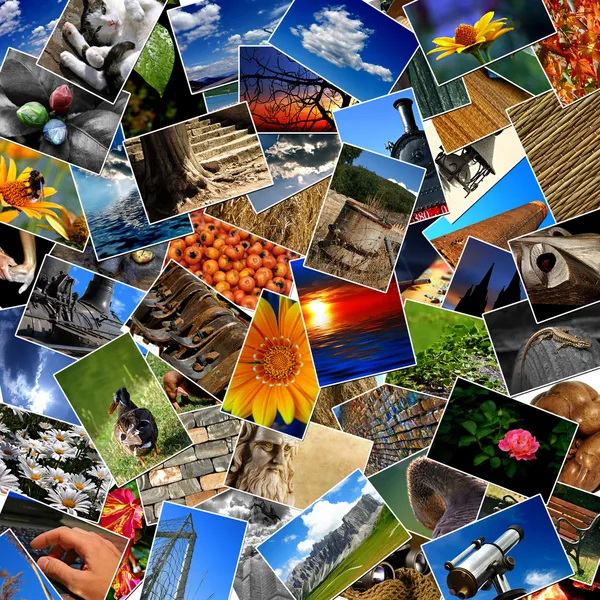Collage de fotos Imágenes de stock libres de derechos