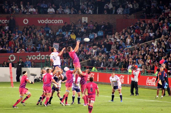 Rugby stieren lineout Zuid-Afrika 2012 — Stockfoto