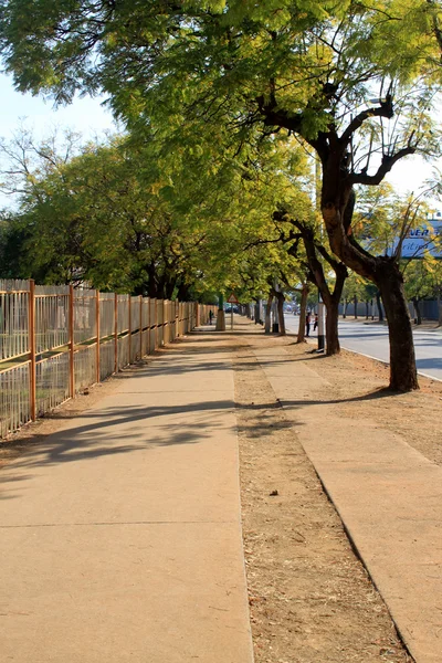 Longa calçada ensolarada vazia — Fotografia de Stock