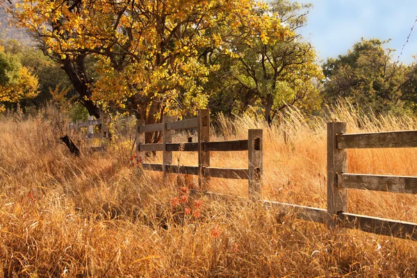 Old Wooden Farm Fence — Stock Photo, Image