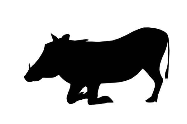 Isolated Silhouette Warthog on Knees — Wektor stockowy