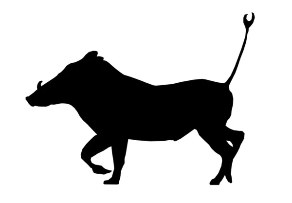 Isolated Silhouette Warthog Running — Wektor stockowy