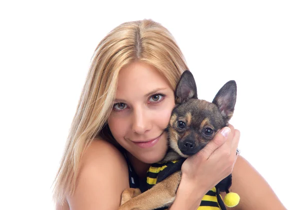 Mulher segurar pequeno cachorro Chihuahua cão — Fotografia de Stock