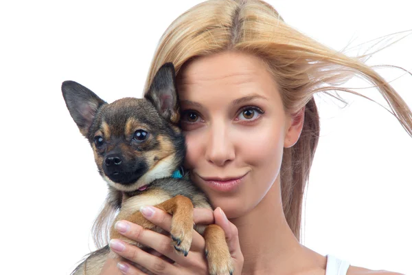 Femme tenir petit chiot Chihuahua chien — Photo