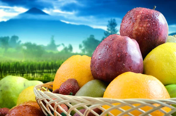 Migliori foto di frutta e verdura — Foto Stock