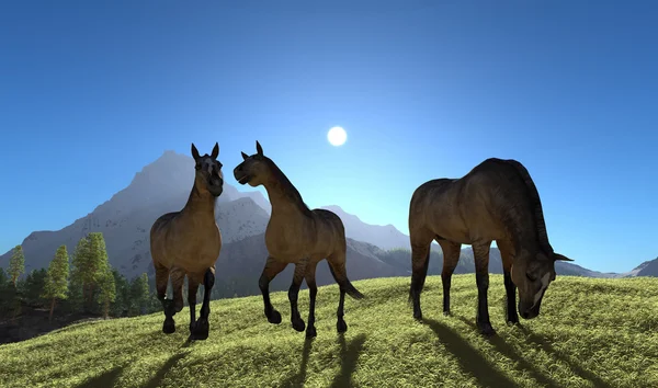Tre hästar — Stockfoto