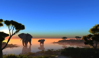 Elephants. clipart