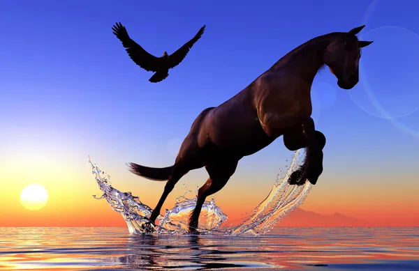Horse. — Stock Photo, Image