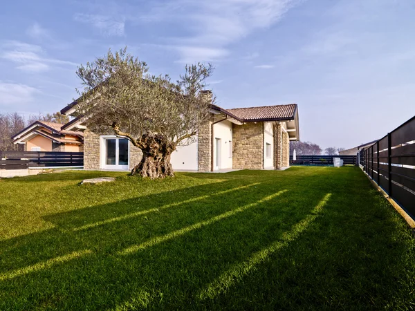 Moderní vila s kamennými zdmi a olivový strom v zahradě — Stock fotografie