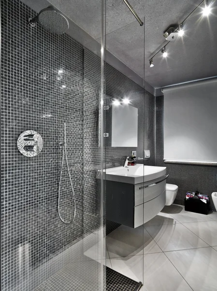Modernt badrum med duschkabin i glas Stockbild