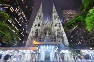 St. Patrick's Cathedral clipart